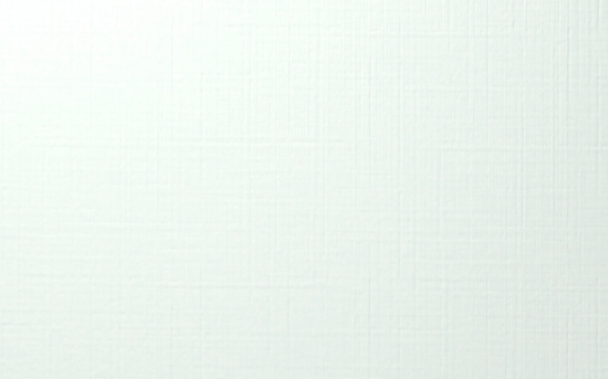 Business Cards Extra+ Linen Hochweiß 350g/m² Rückseite